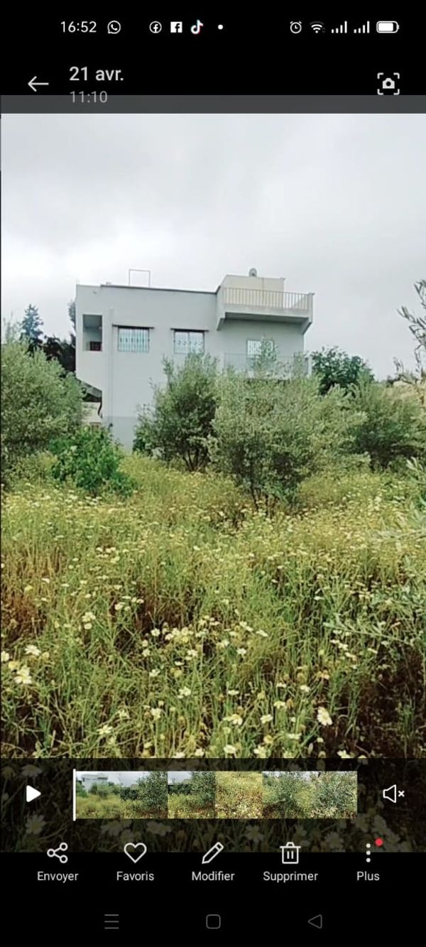 Mohammed's house
