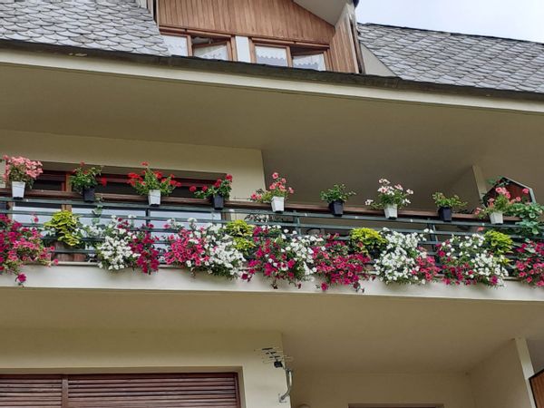 Casa di Laia i Àlex