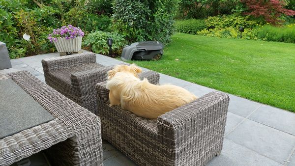 Ons huis is van alle gemakken voorzien. Als stel kun je van de gehele boven etage gebruik maken,