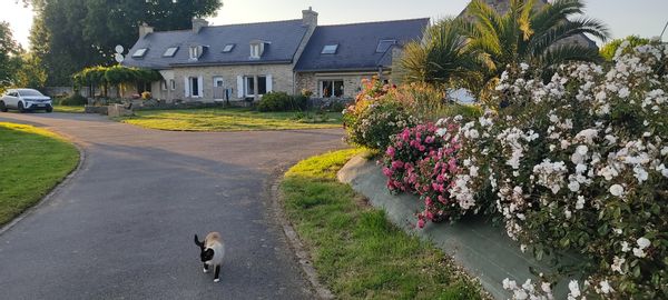 La maison de Gaït et Benoit en Finistère