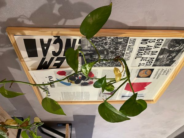 La maison de Carlos Eduardo