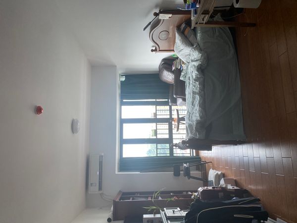 Lyn's house