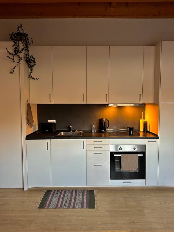 DMITRII and VALERIA's house