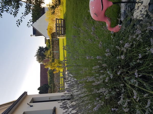 Florence's house