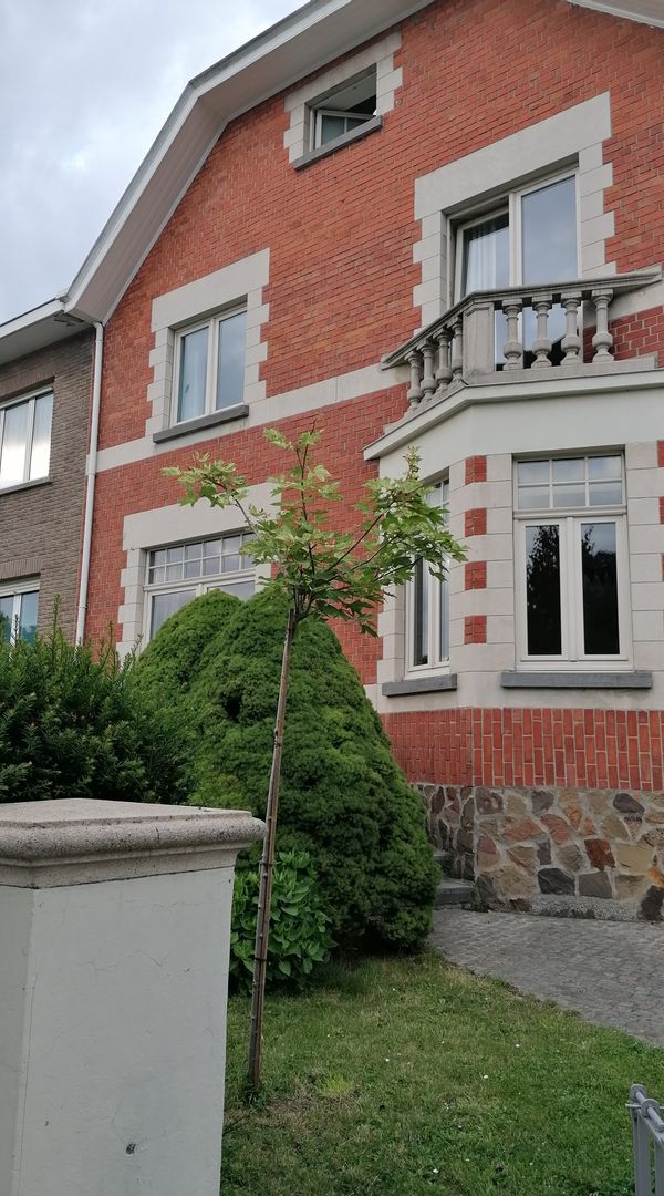 Pascale's house