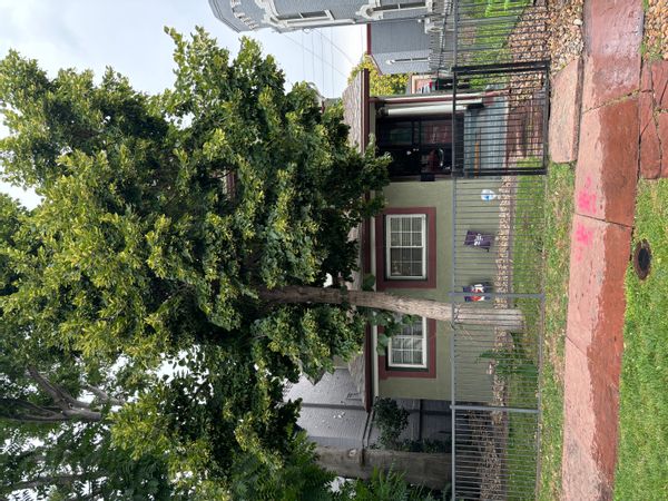Casa de Verna