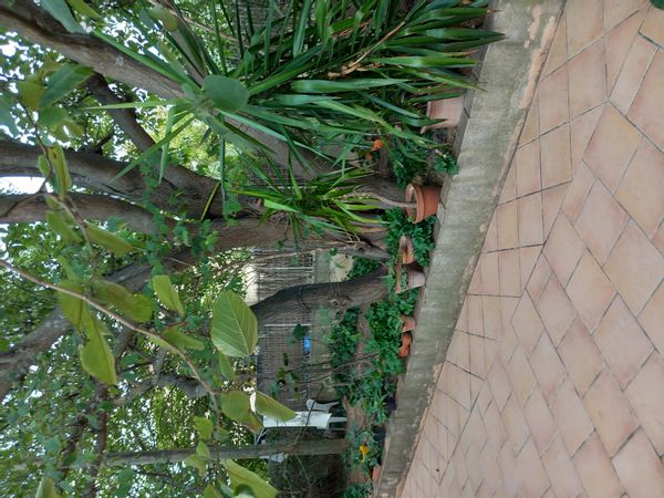 La maison de Monique