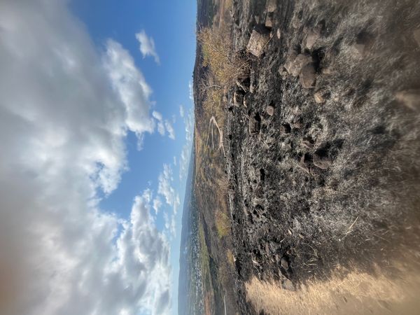 La maison de Baptiste