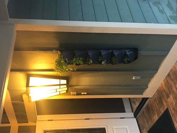 Jeffrey's house