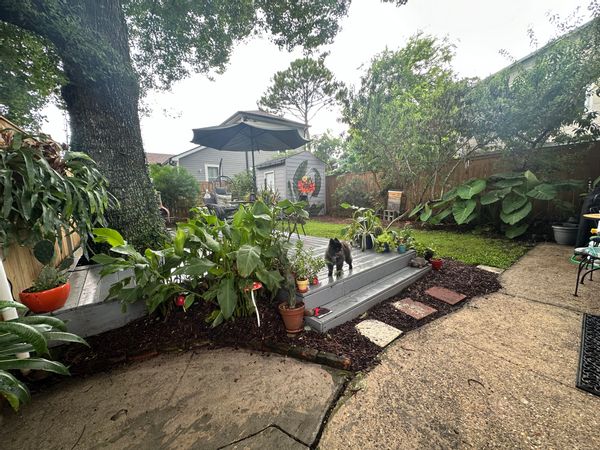The garden of Eden Street