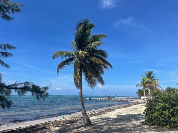 New Modern Townhome with Seaview in Grand Cayman, Cayman Islands