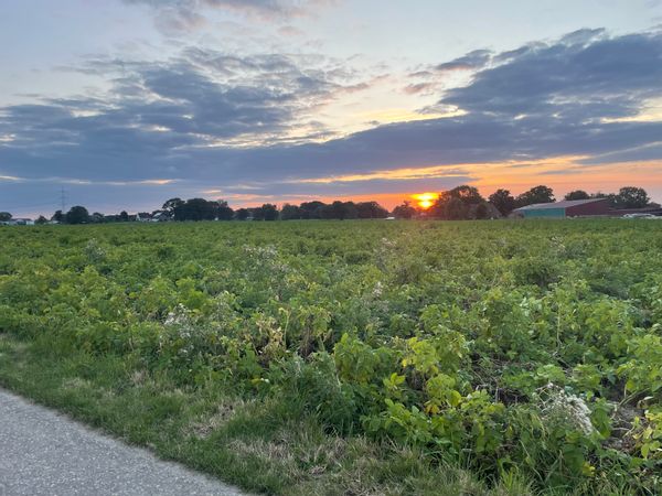 La maison de Kristin
