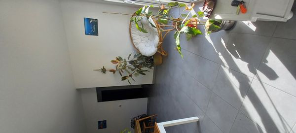 Alexandra's house