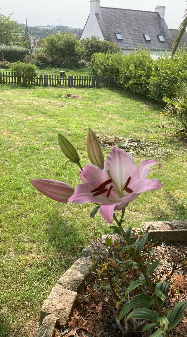 La maison de JF et Pat