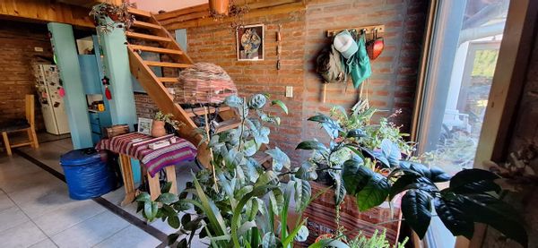 sofia's house