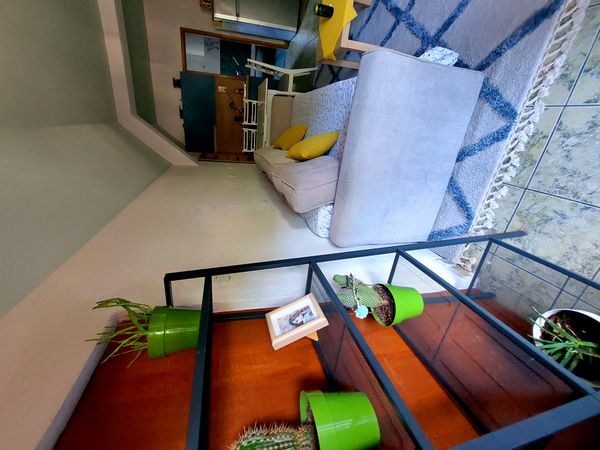 Elena's house