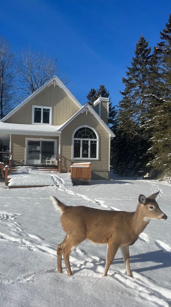 Julie's house