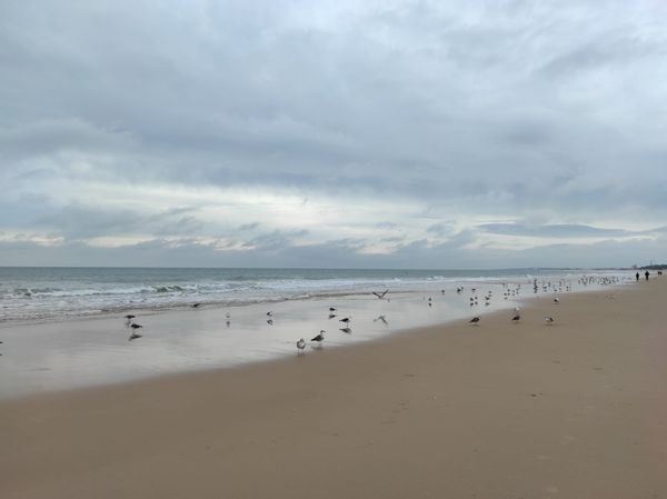 APARTAMENTO DE ANTONIO Y EVAs hus