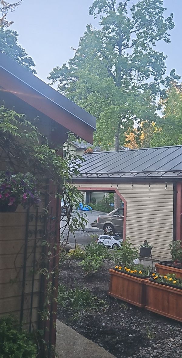 Burnaby Mountain Townhouse on the Forests Edge.