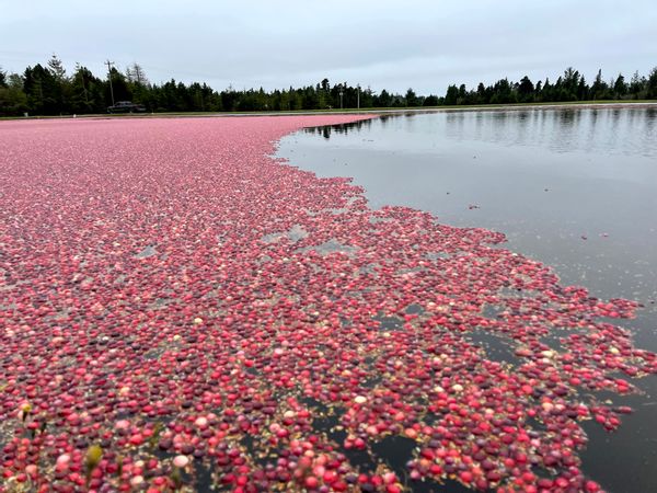 La maison de Mechelle