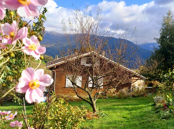 Chalet dans un écrin de verdure, idéal pour une famille de 4 à 5 personnes