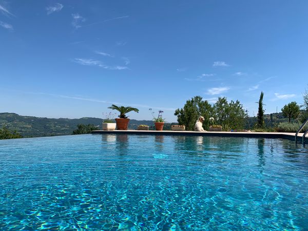 Villa Ponti 1867 in Piemonte with infinity pool
