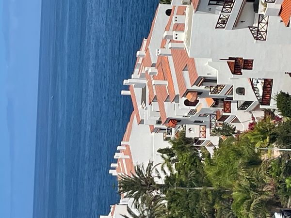A Little Piece of Paradise