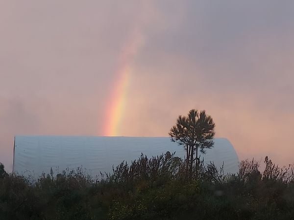 La maison de Bertrand