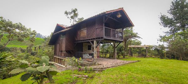Patricia's house