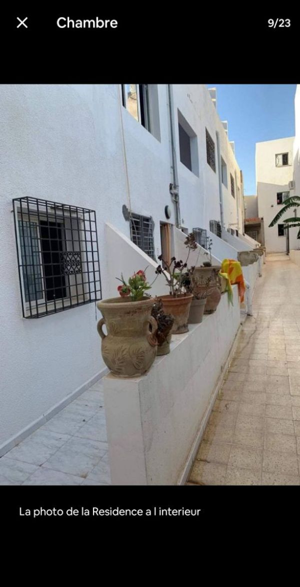 Mohsen's house