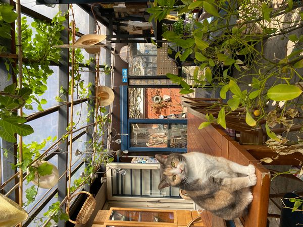 Mia's house