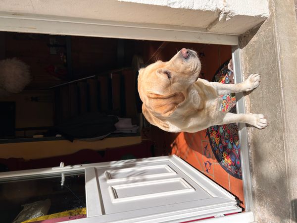 La maison de Leytoure Sylvie