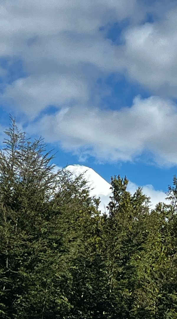 Amalia De Lourdess hus