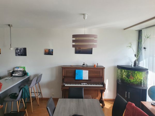 La maison de Vincent