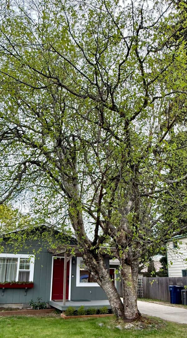 La maison de Janete