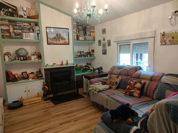 Una casa acogedora a la sombra de un hermoso limonero