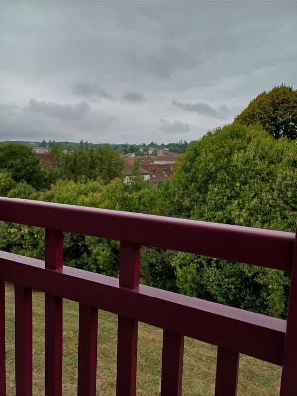 appartement vu sur les toits de salies-de-béarn