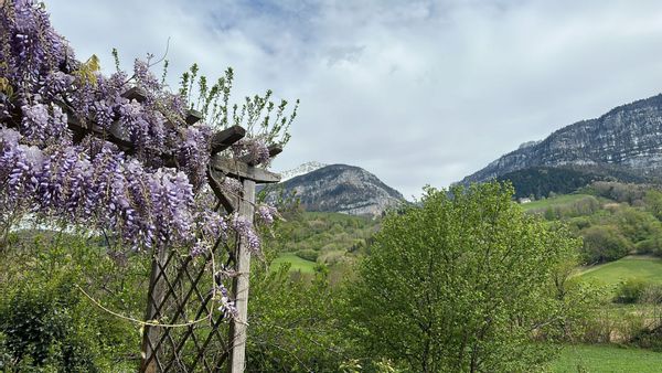 La maison  de la Sure
