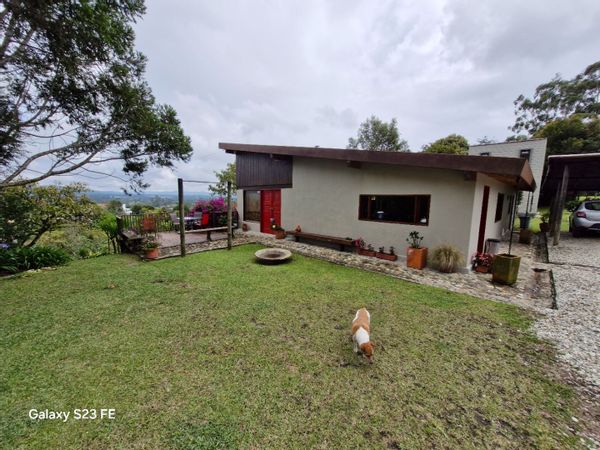 Ines elvira Velez T's house