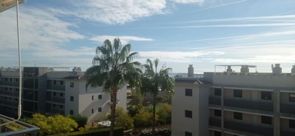 Jordi's house