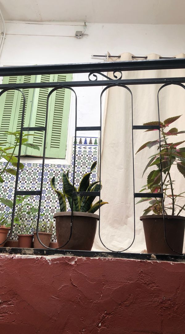 La maison des oiseaux