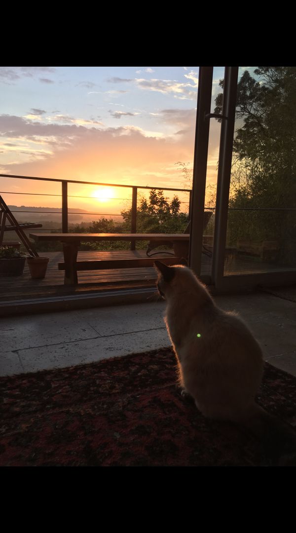 Casa di Matthew C Bond