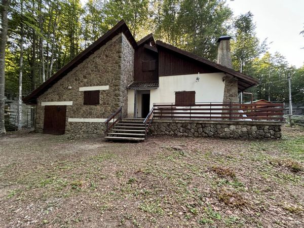 Enrico's house