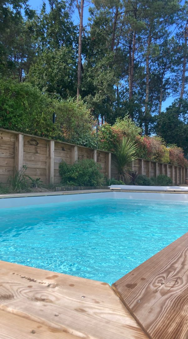 Recherche Maroc Toussaint 2025 / Panama - Costa Rica - Guadeloupe Février 2026