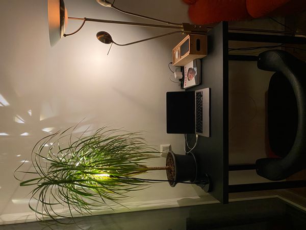 Stanislav's house