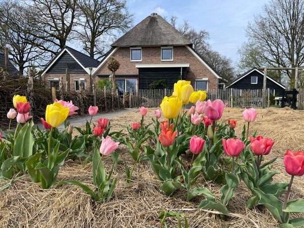 Michiel en Arjaina kuća