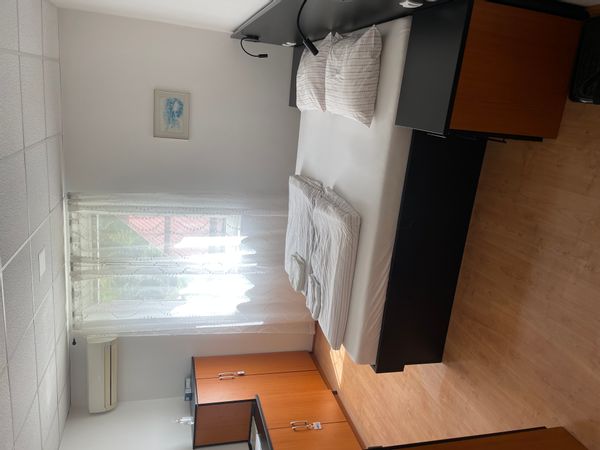 Aleksander's house
