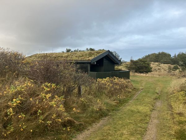 700 m til Danmarks bedste sandstrand – sommerhus i klitterne for enden af blind vej