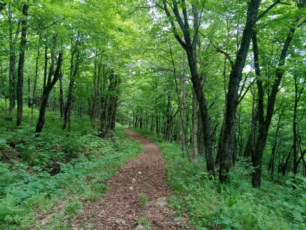 Studio au pied du Mont-Saint-Anne, paradis pour les sportifs et amateurs de plein air.