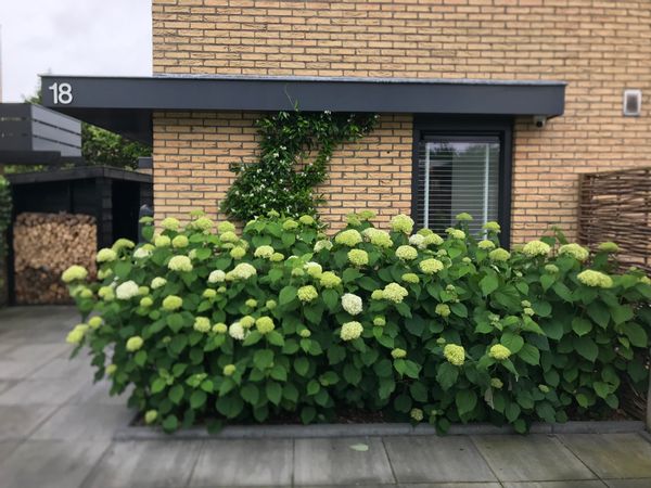 Madeleen's house